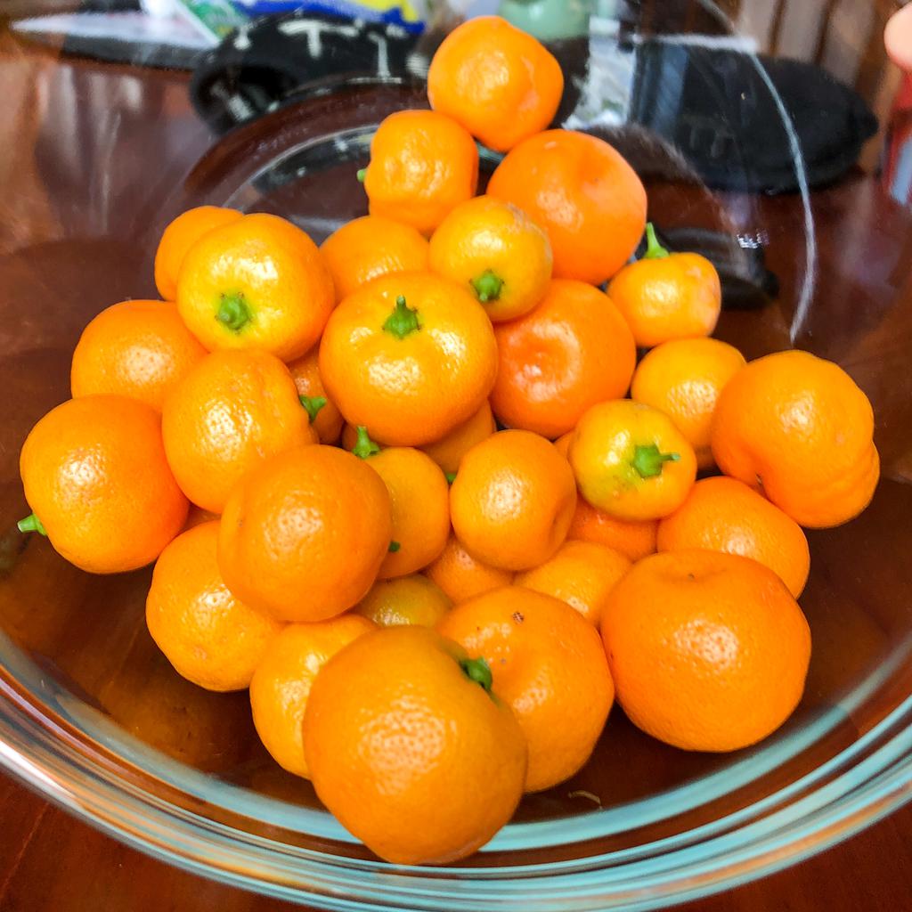 Oranges