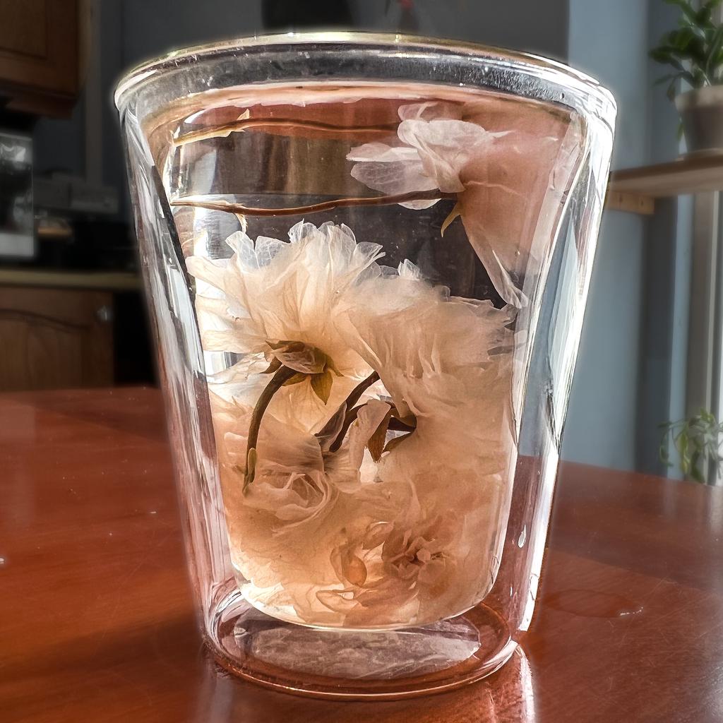 Marui shokuhin cherry blossom tea