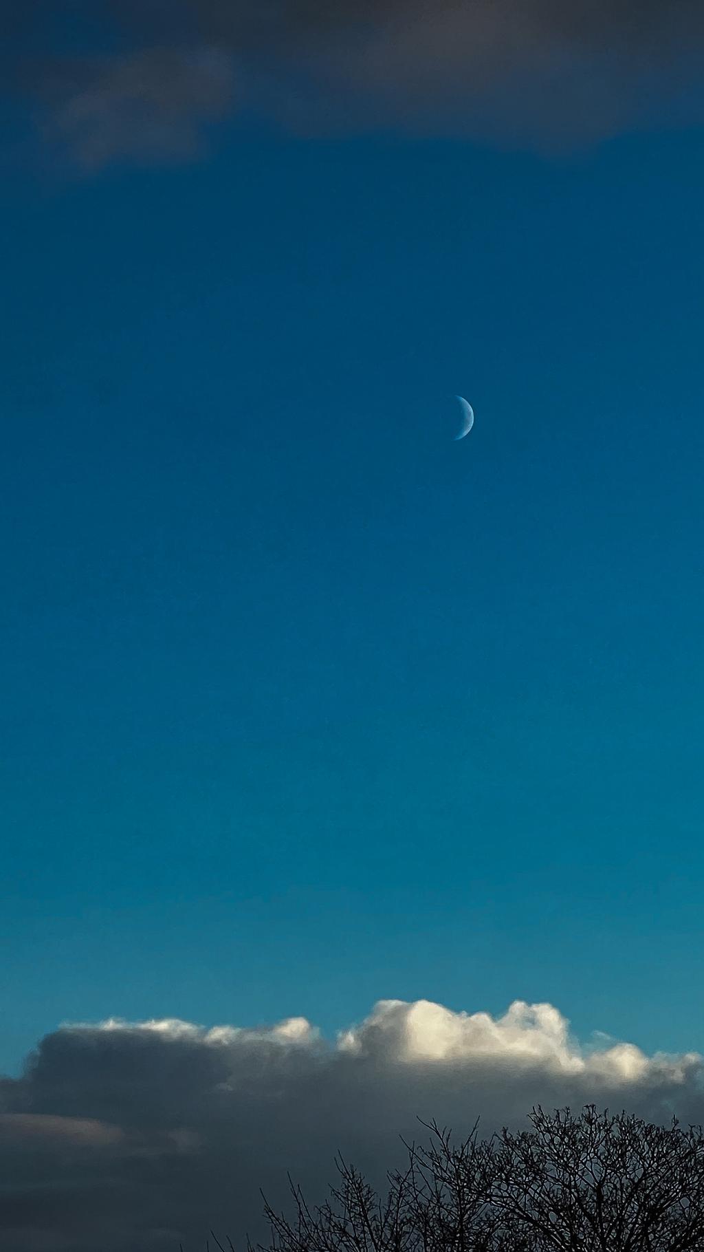 Moon