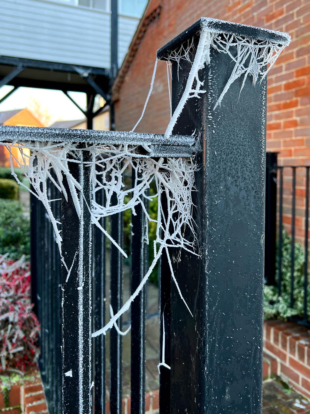 Webs