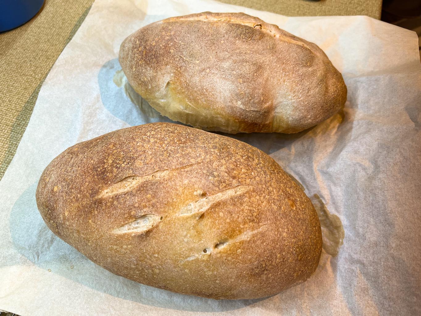 Two golden-brown, slightly misshaped loaves of sourdough bread 