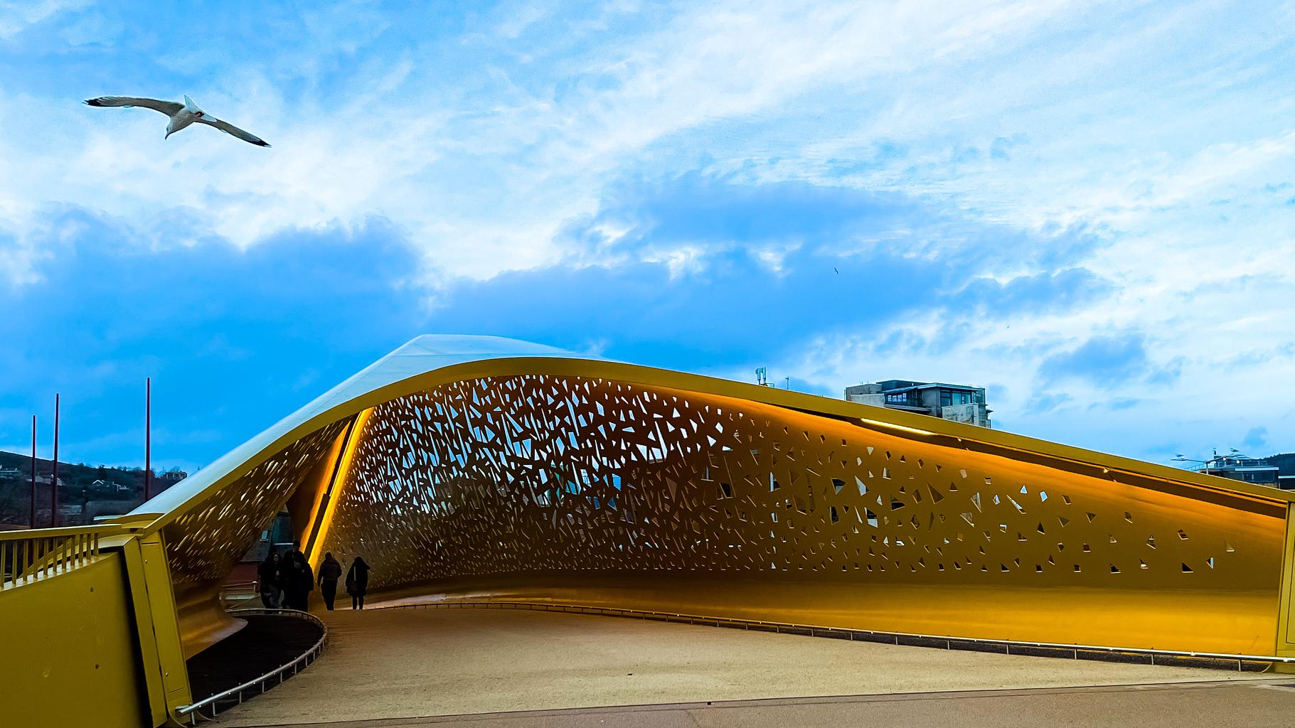 A seagull flying over the pedestrian bridge over Oystermouth Road. The bridge is illuminated in yellow.