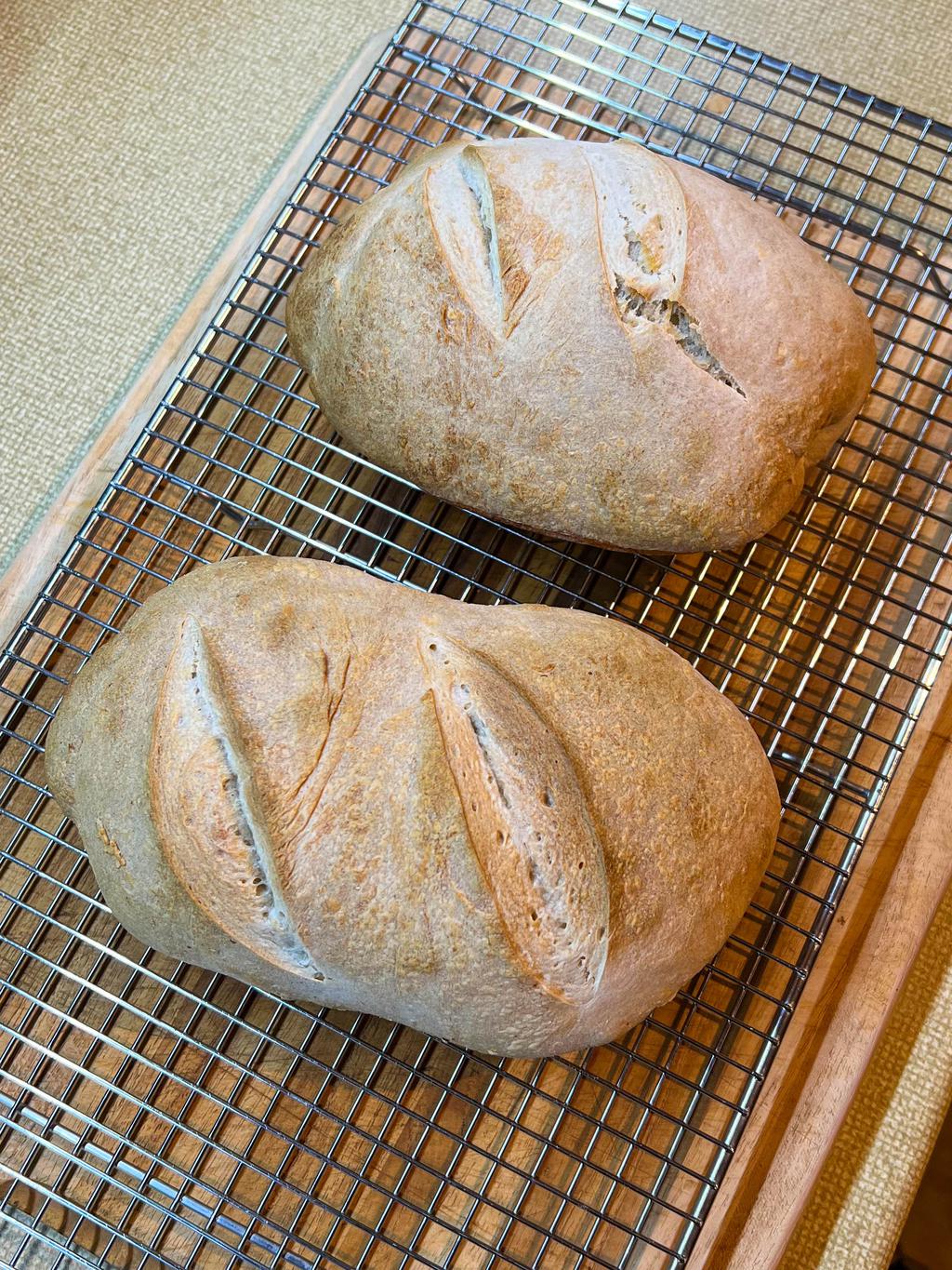 Two small bâtards of sourdough fresh from the oven cooling on a wire rack.