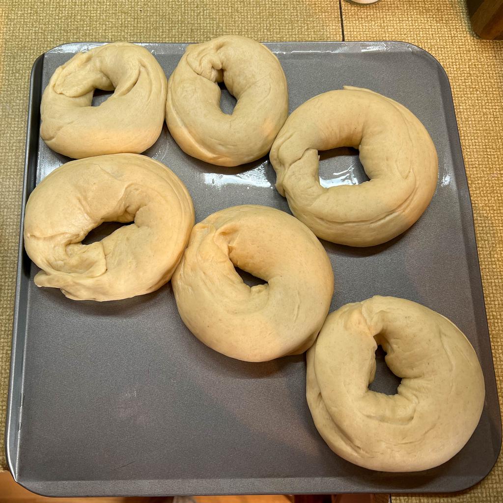 Bagel dough rolled into vaguely bagel shaped forms and allowed to rise