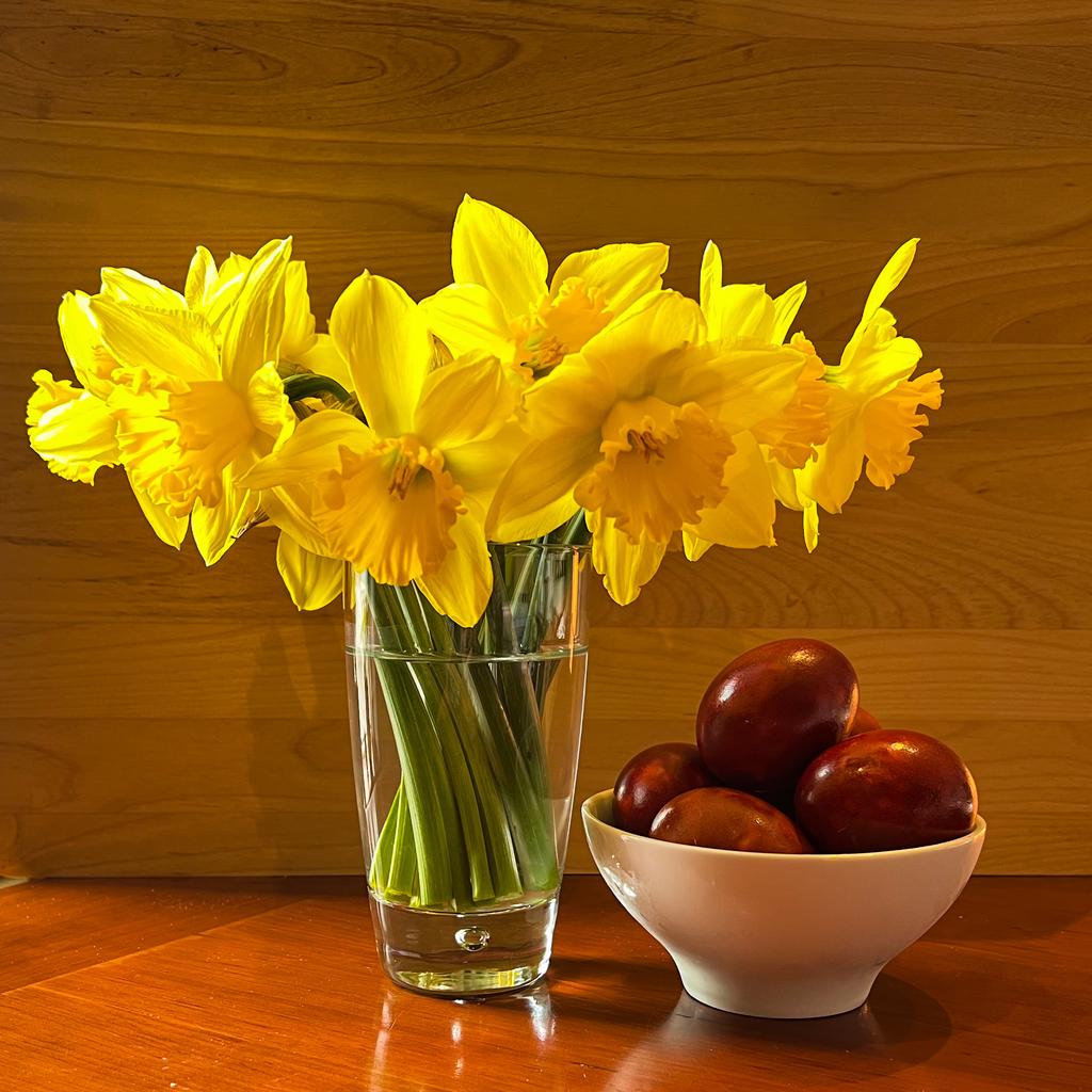 Cut daffodils and a small bowl of pace eggs.