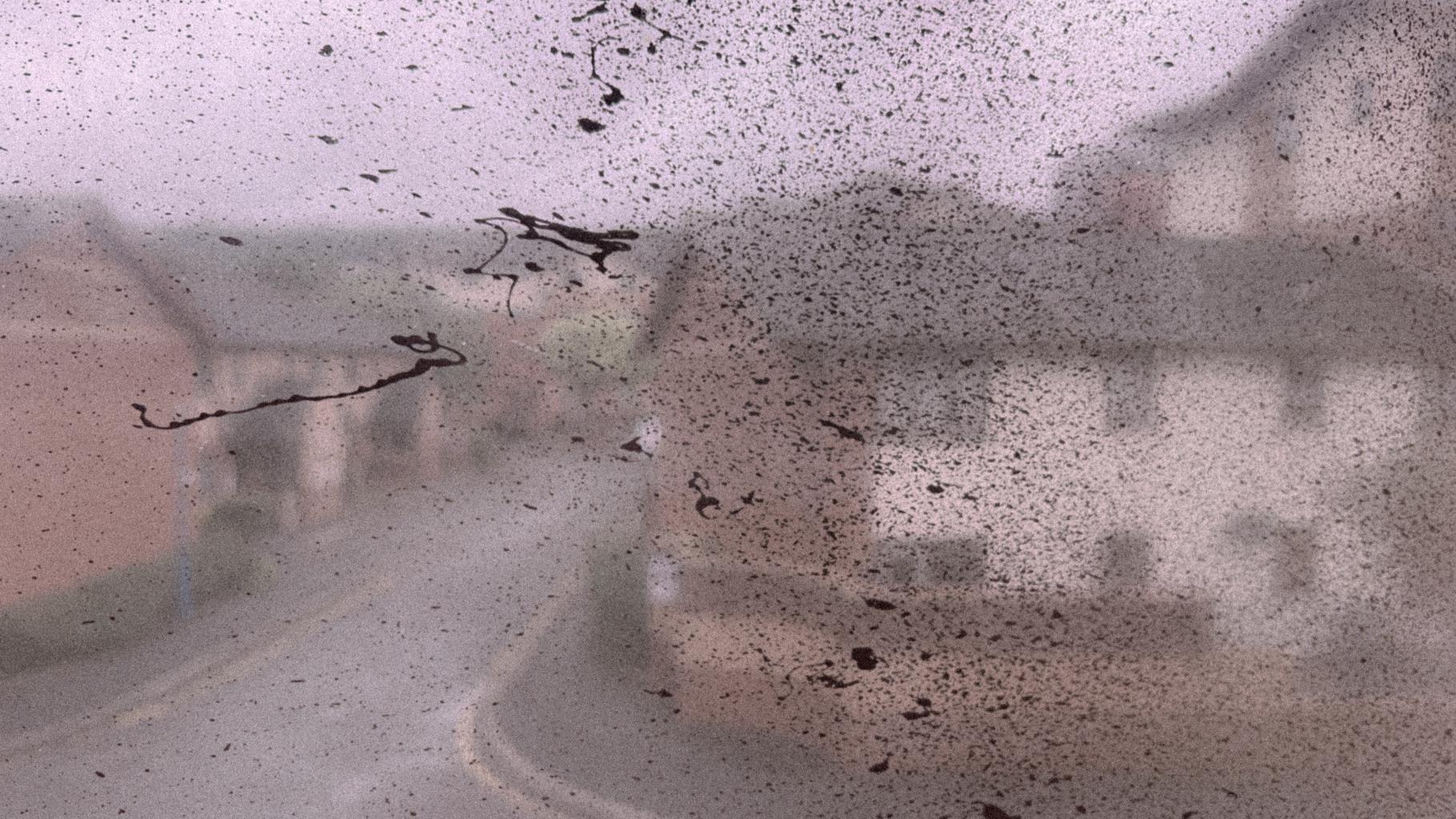 A view through the window: grey, smeared, and splattered with debris.