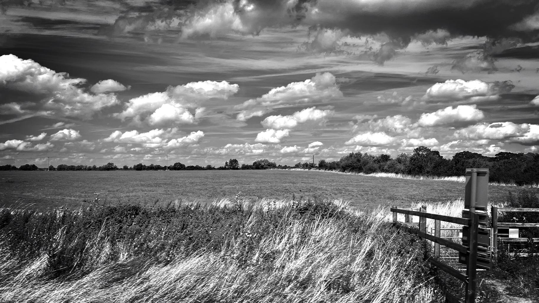 Black and white photo of the landscape from a train window.