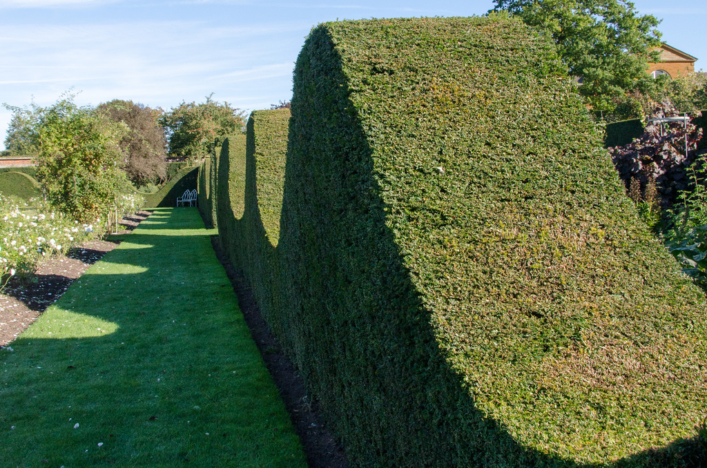 Garden waves Garden waves