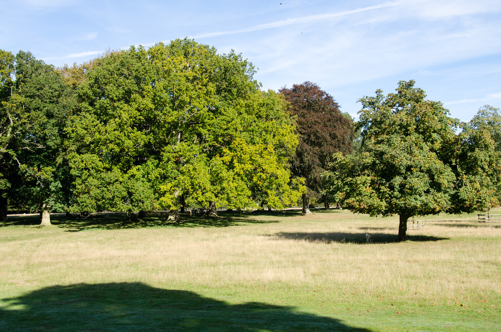 Houghton Hall Houghton Hall