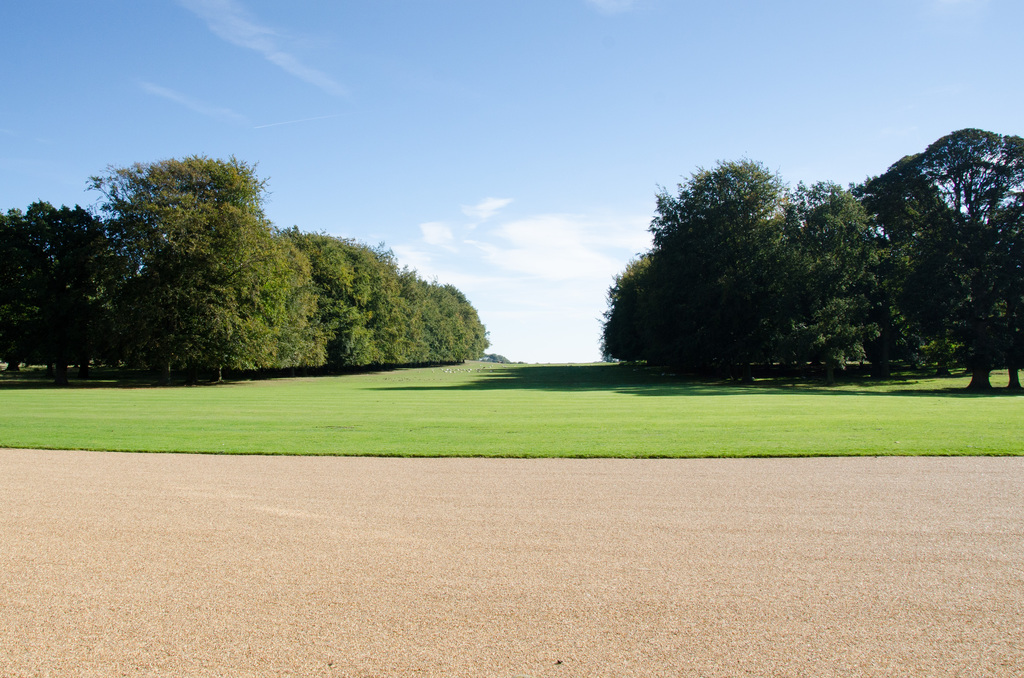 Houghton Hall deer Houghton Hall deer